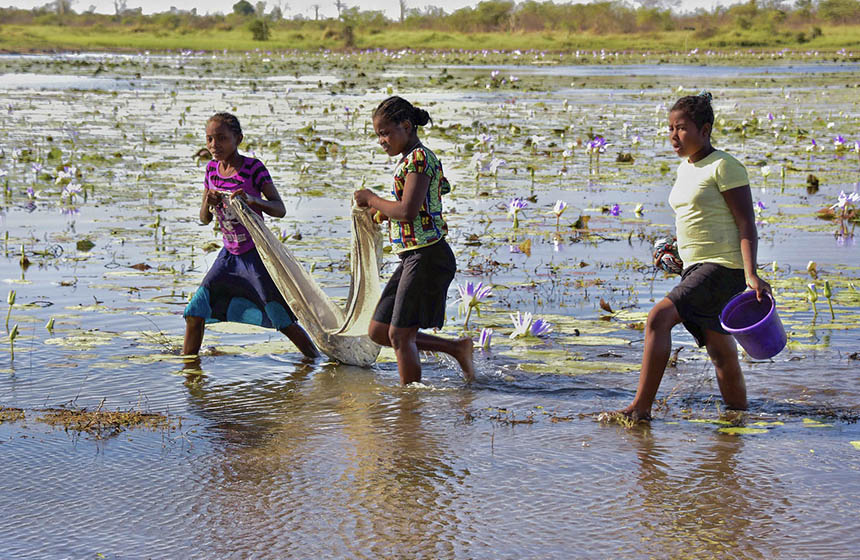 Some african women fishing