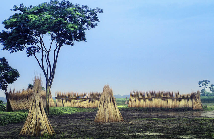 Haystacks in Africa