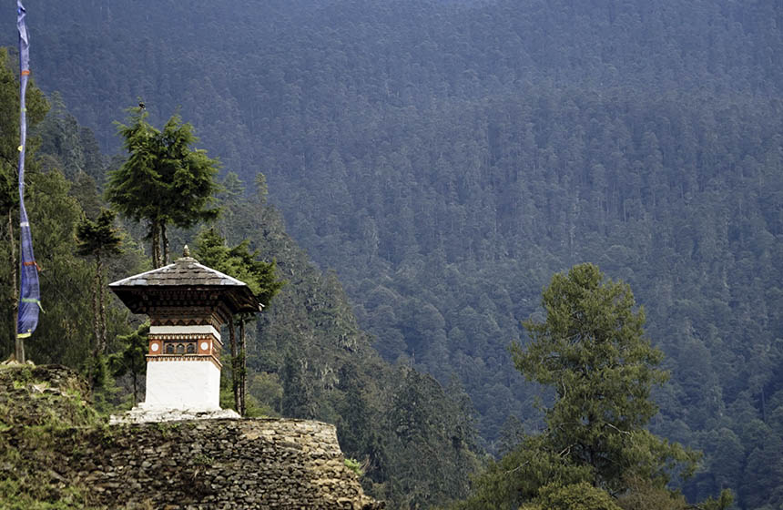 Forested hills of Bhutan