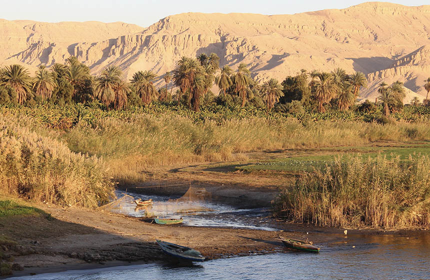 Nile bank wetland