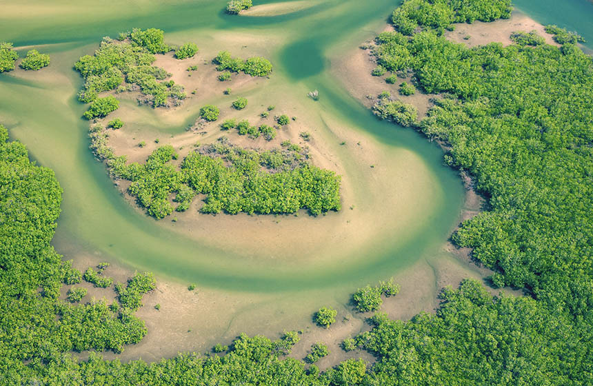 Aerial view of mangrove forest in the Saloum Delta National Park, Joal Fadiout, Senegal.