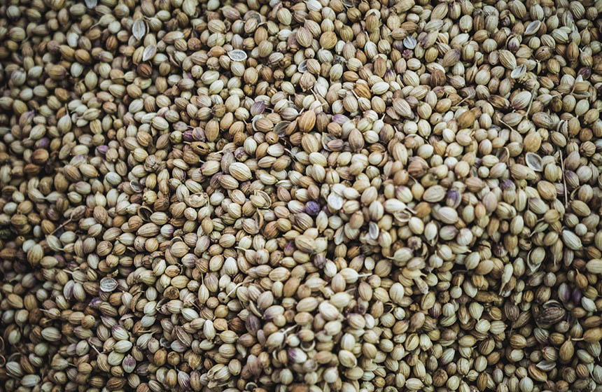 Close up of seeds