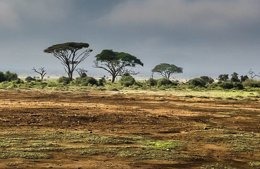 Kenyan rangelands