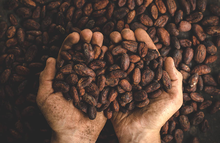 Man holding cocoa beans